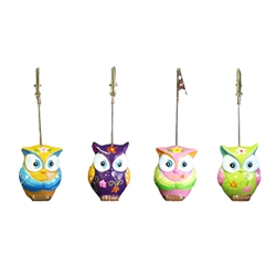Owl Ticket Holders