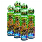 Six Pack 1.5oz Sunsational Bingo Dauber